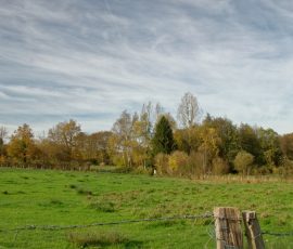 DSC_2647_DxO